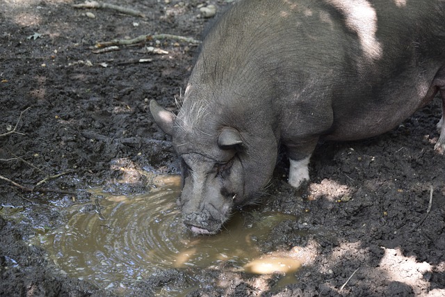 类似的情况 类似的情况