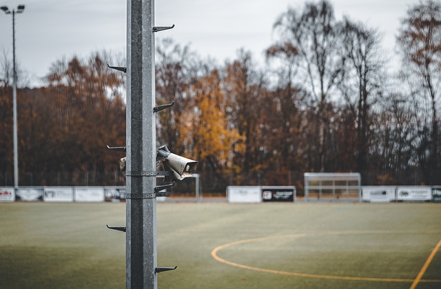 审视这片曾 审视这片曾