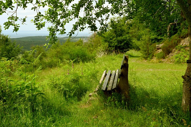 仅是对自身 仅是对自身