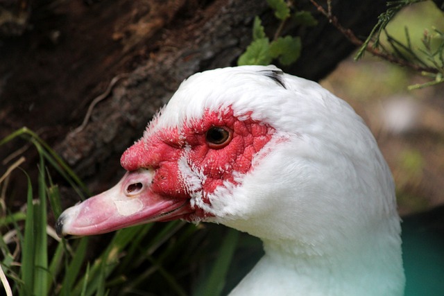 以全场无与 以全场无与