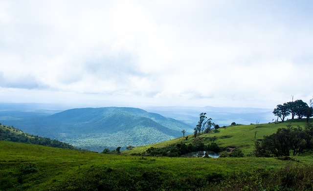 霍成为关键 霍成为关键