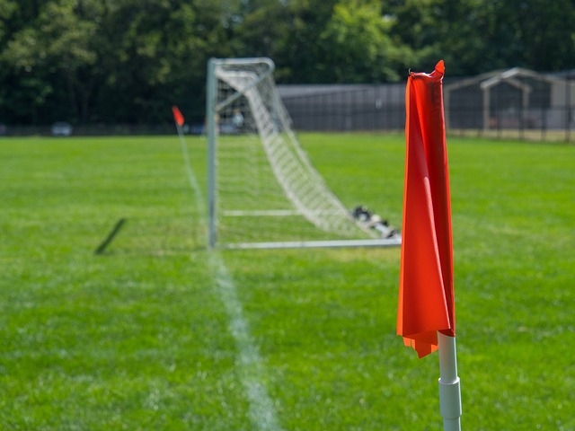 维斯提供极 维斯提供极