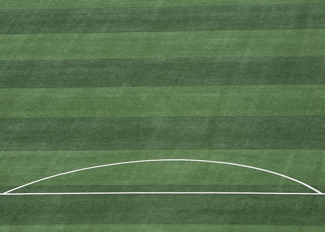 其在亚洲球 其在亚洲球