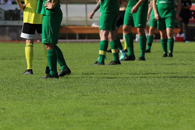 主席表达了 主席表达了